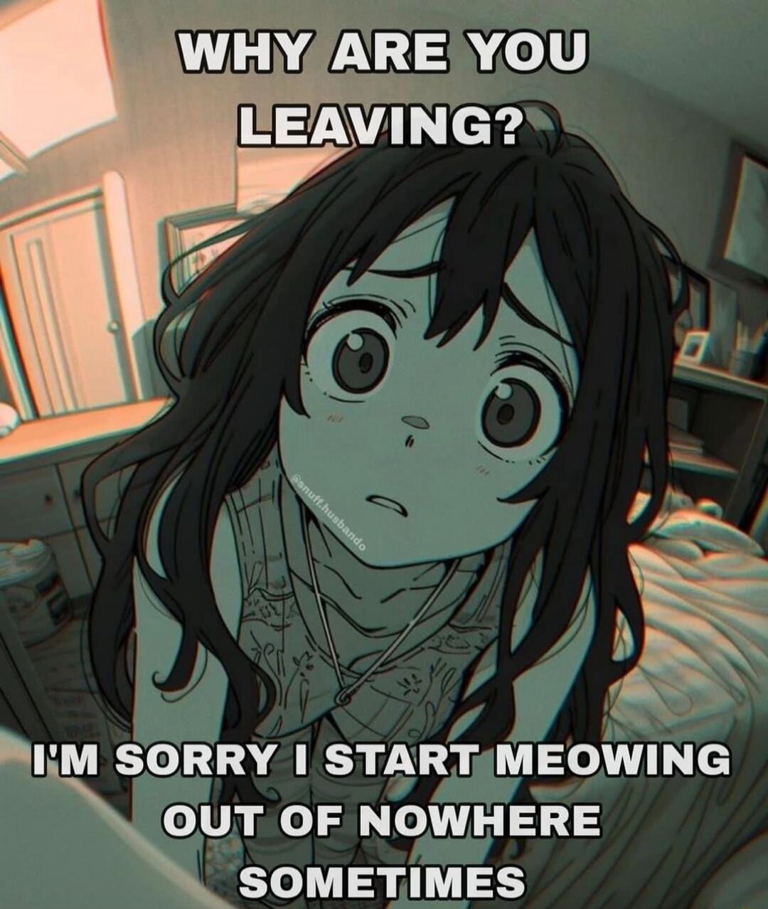 WENZLGEN M SORRY STARTUMEOWING o Uy jo Sl o 5 5 33 o l 2