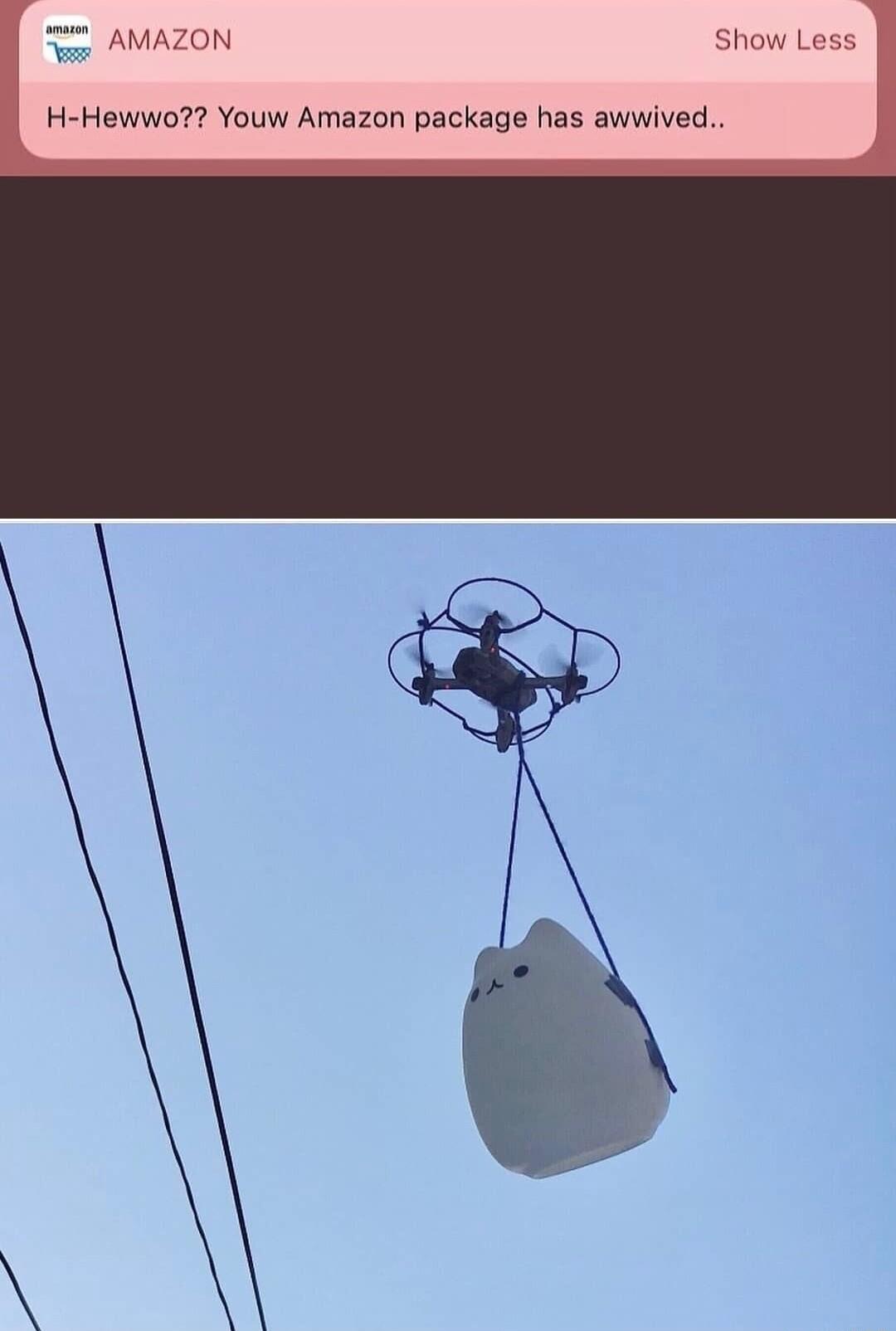 v AMAZON Show Less H Hewwo Youw Amazon package has awwived