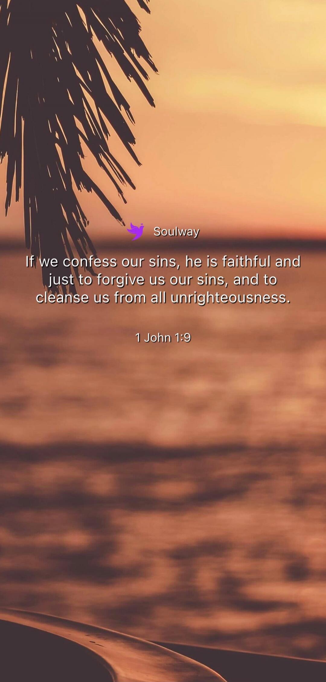 Soulway If we confess our sins, he is faithful and just to forgive us our sins, and to cleanse us from all unrighteousness. 1 John 1:9