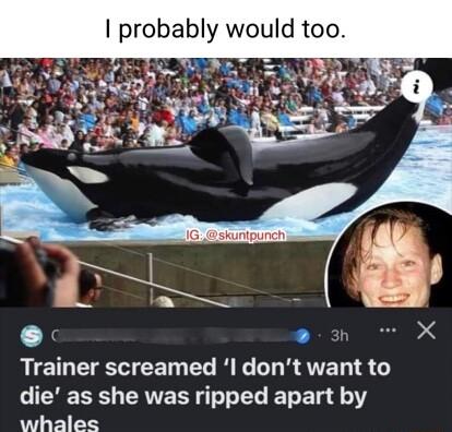 probably would too RICIEEVEE LR G LR VEL IS die as she was ripped apart by whales