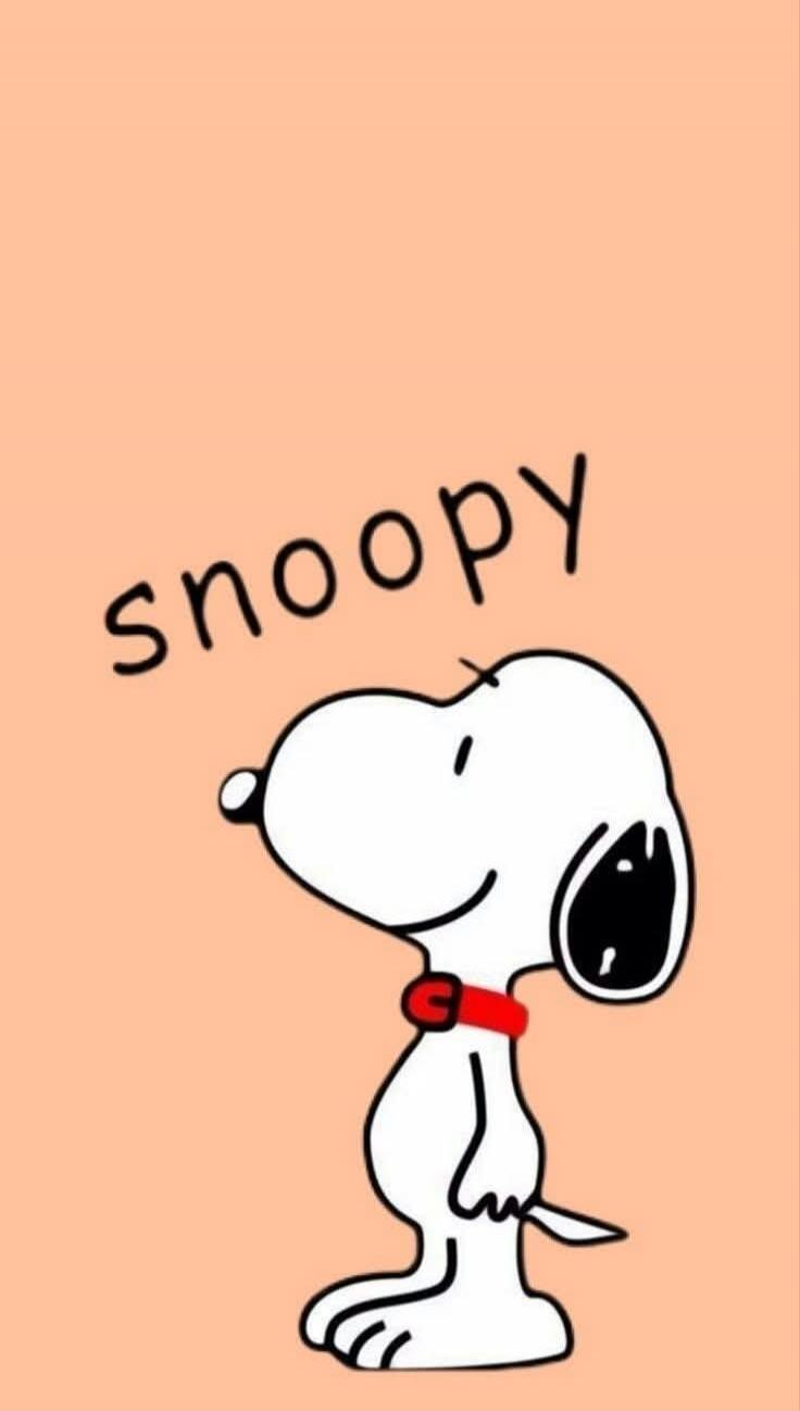 snoopy