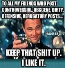 TO ALL MY FRIENDS WHO POST CONTROVERSIAL, OBSCENE, DIRTY, OFFENSIVE, DEROGATORY POSTS— KEEP THAT SHIT UP. I LIKE IT.