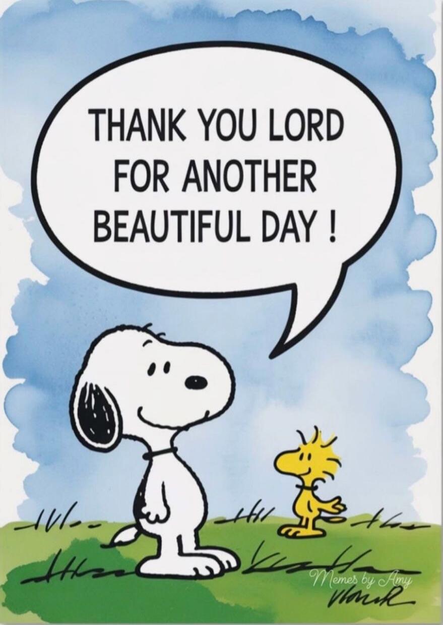 THANK YOU LORD FOR ANOTHER BEAUTIFUL DAY !