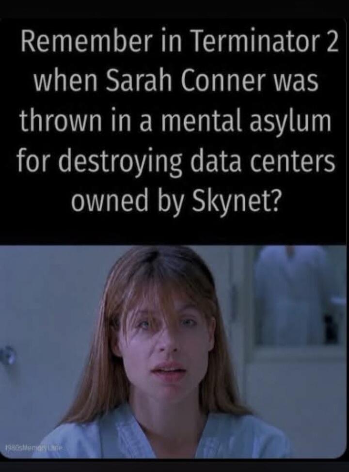 Remember in Terminator 2 when Sarah Conner was thrown in a mental asylum for destroying data centers owned by Skynet?
