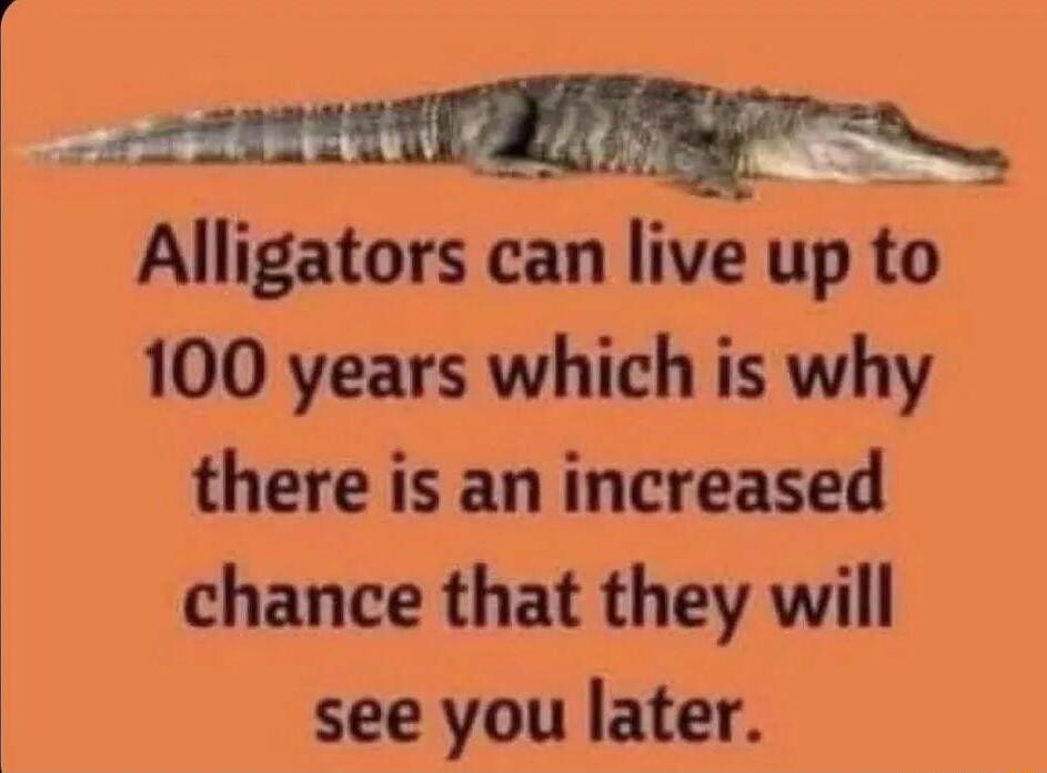 22t ST Alligators can live up to 100 years which is why there is an increased chance that they will see you later