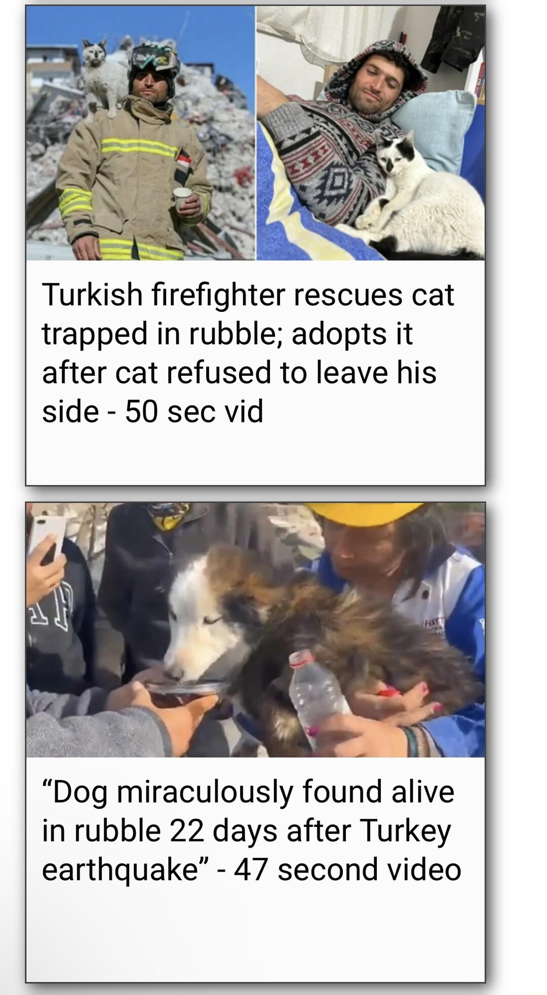 Turkish firefighter rescues cat trapped in rubble adopts it after cat refused to leave his side 50 sec vid Dog miraculously found alive in rubble 22 days after Turkey earthquake 47 second video