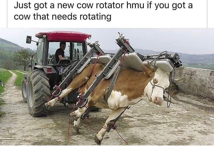 Just got a new cow rotator hmu if you got a cow that needs rotating