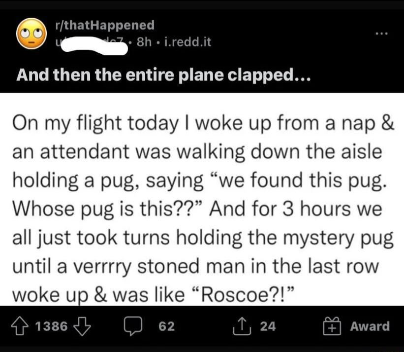 0 rthatHappened LULRGERGEEN TGN EL YA ET LY On my flight today woke up from a nap an attendant was walking down the aisle holding a pug saying we found this pug Whose pug is this And for 3 hours we all just took turns holding the mystery pug until a verrrry stoned man in the last row woke ui was like Roscoe