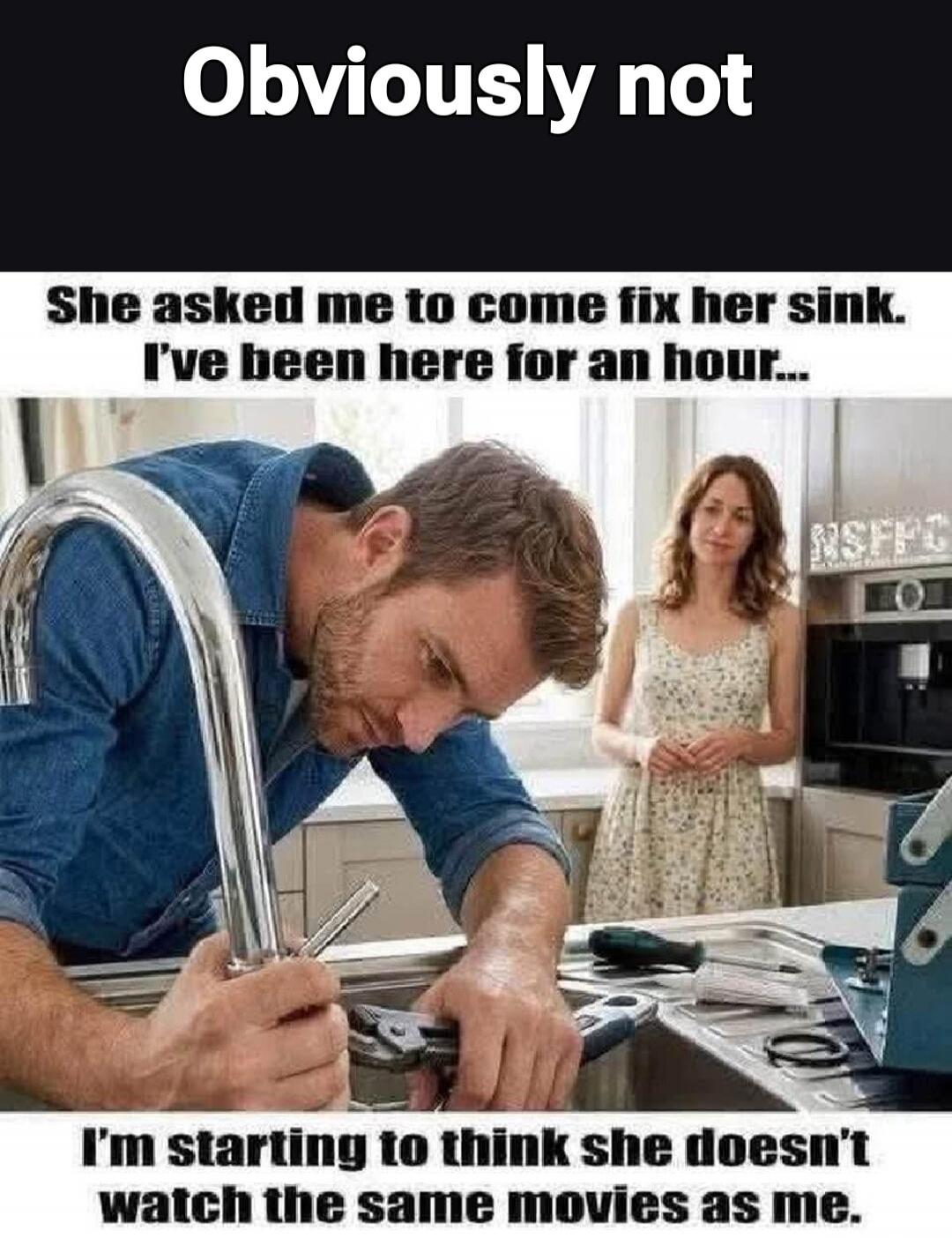 Obviously not She asked me to come fix her sink. I've been here for an hour... I'm starting to think she doesn't watch the same movies as me.