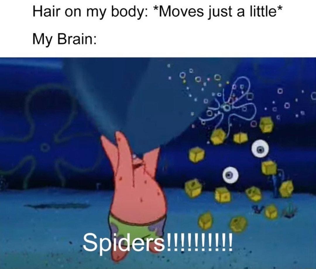 Hair on my bod Moves just a littl My Brain Spiderstt