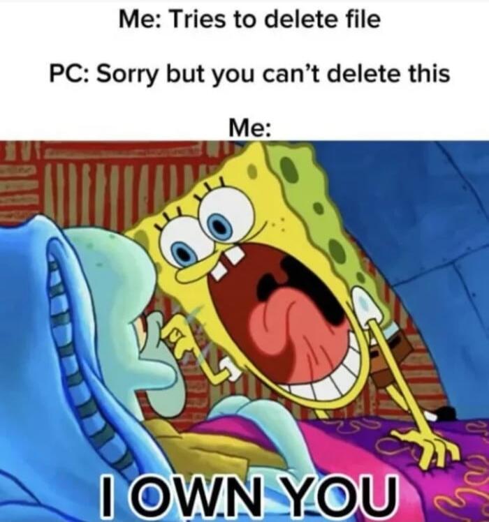 Me: Tries to delete file PC: Sorry but you can't delete this Me: I OWN YOU