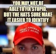 YOU MAY NOT BE ABLE TO FIX STUPID, BUT THE HATS SURE MAKE IT EASIER TO IDENTIFY