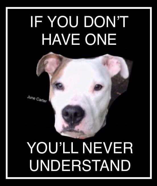 IF YOU DON'T HAVE ONE
YOU'LL NEVER UNDERSTAND