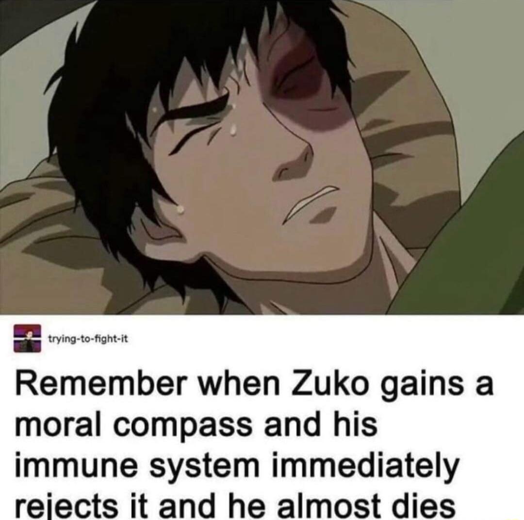 tying to fghtt Remember when Zuko gains a moral compass and his immune system immediately reiects it and he almost dies
