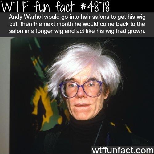 WTF fun fact 4878 Andy Warhol would go into hair salons to get his wig cut then the next month he would come back to the salon in a longer wig and act like his wig had grown wiffunfactcom