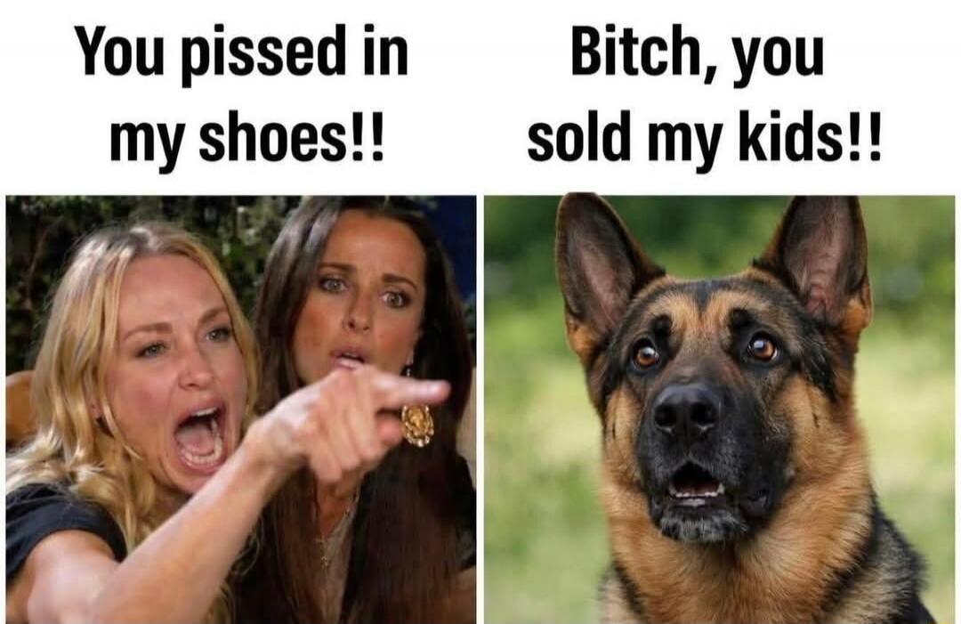 You pissed in my shoes!! Bitch, you sold my kids!!
