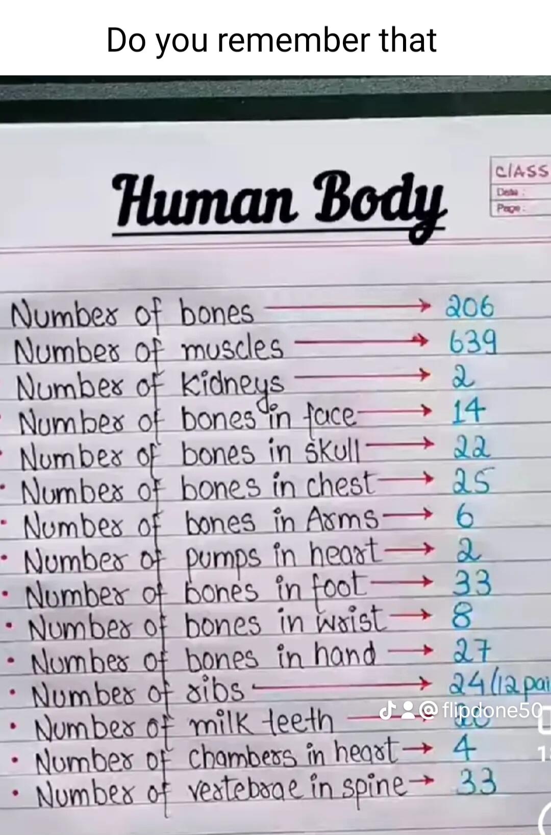 Do you remember that Numbes of bones 306 Numbes of mostles 639 Numbes y Kxdnegf e Numbes of bonesin foce i Nombex of bones in skoll 3a Nombexs o bones in chest 45 Nombex of bones in Asms Numbex oF pumps fn heat Nombery of bones tn foot 33 Nombex of bones in wist pombex of bones tn hond 3 Nombex oF aibs d4iapa Nunbexs oF wmilk Aeeth G5 Nombe o Chambess fn heast 4 Numbex of vestelwae fn spine 33