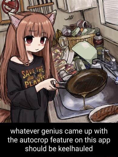 whatever genius came up with the autocrop feature on this app should be keelhauled