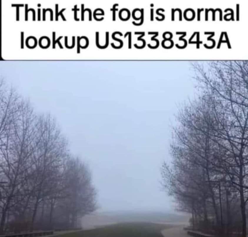 Think the fog is normal lookup US1338343A