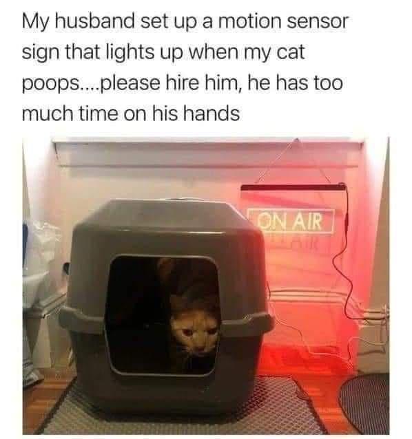 My husband set up a motion sensor sign that lights up when my cat poopsplease hire him he has too much time on his hands