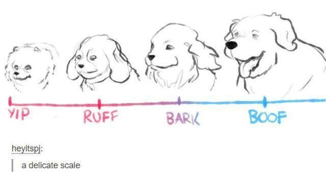 thebestoftumbling heyitsp Folow S 9 gg Q i s i R L P RUFF BARY Deyitsp adelicate scale 23012 notes D jai