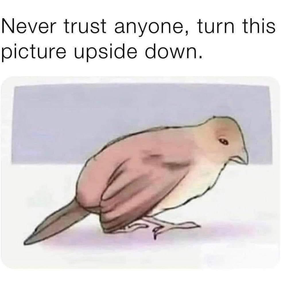 Never trust anyone turn this picture upside down