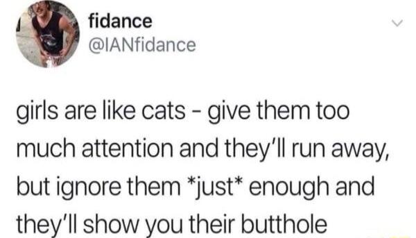 fidance G IANfidance girls are like cats give them too much attention and theyll run away but ignore them just enough and theyll show you their butthole