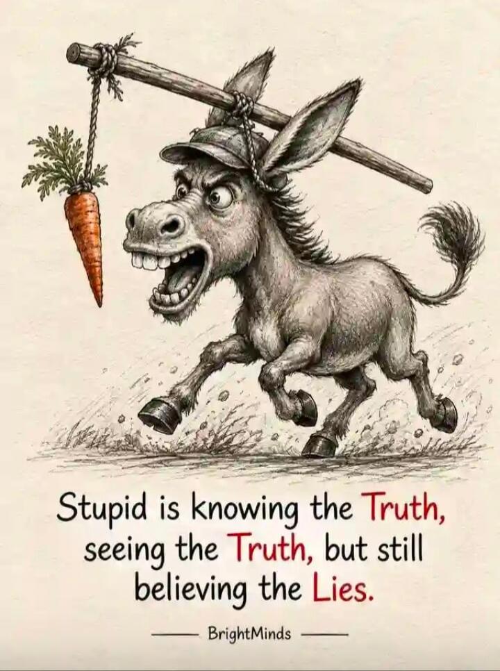 Stupid is knowing the Truth, seeing the Truth, but still believing the Lies. BrightMinds