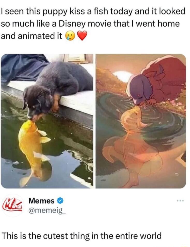 seen this puppy kiss a fish today and it looked so much like a Disney movie that went home and animated it _ Memes memeig_ This is the cutest thing in the entire world