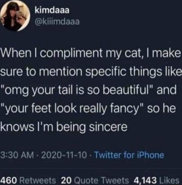 y EEE Gl eEEE When compliment my cat make sure to mention specific things like Kol e RYeUI 1 NERSToN o E W1 VR Toe your feet look really fancy so he knows Im being sincere 330 AM 2020 11 10 Twitter for iPhone 460 Retweets 20 Quote Tweets 4143 Likes
