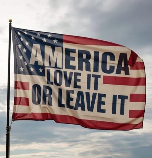 AMERICA LOVE IT OR LEAVE IT