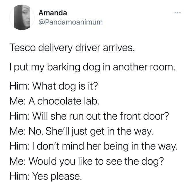 Amanda Pandamoanimum Tesco delivery driver arrives put my barking dog in another room Him What dog is it Me A chocolate lab Him Will she run out the front door Me No Shell just get in the way Him dont mind her being in the way Me Would you like to see the dog Him Yes please