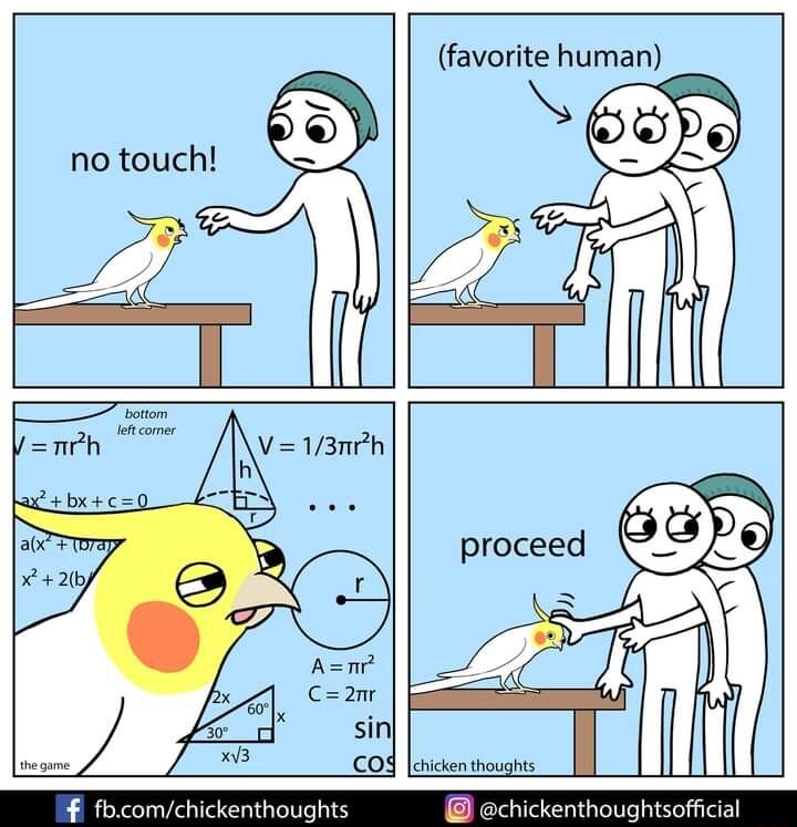 favorite human oz l i