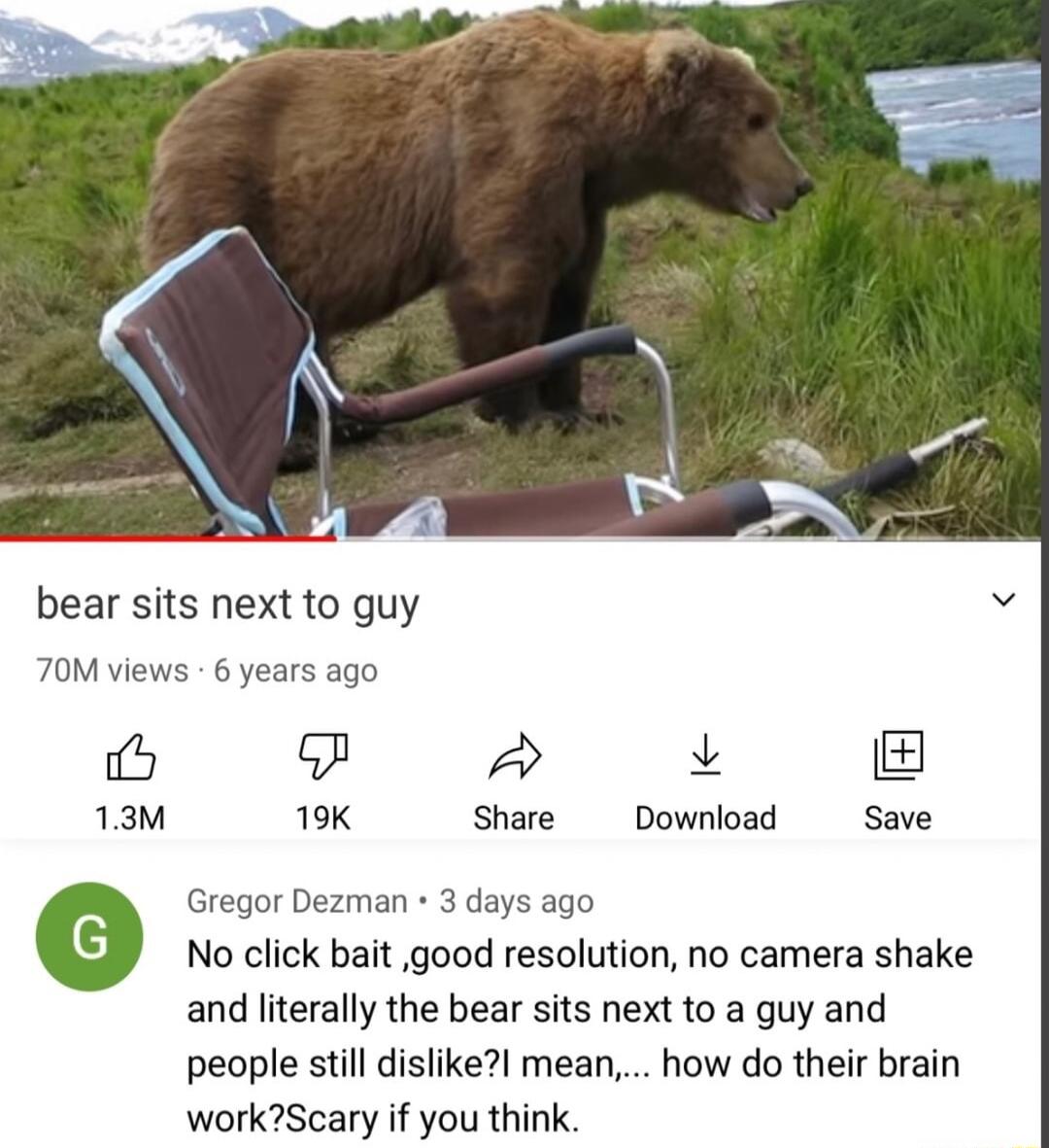 bear sits next to guy 70M views 6 years ago 16 v 13M 19K Share Download Save Gregor Dezman 3 days ago No click bait good resolution no camera shake and literally the bear sits next to a guy and people still dislikeI mean how do their brain workScary if you think