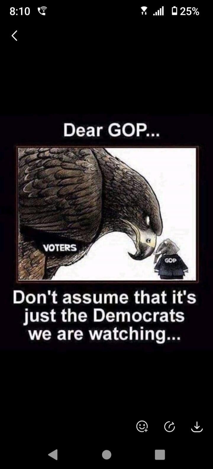 Dear GOP... VOTERS GOP Don't assume that it's just the Democrats we are watching...