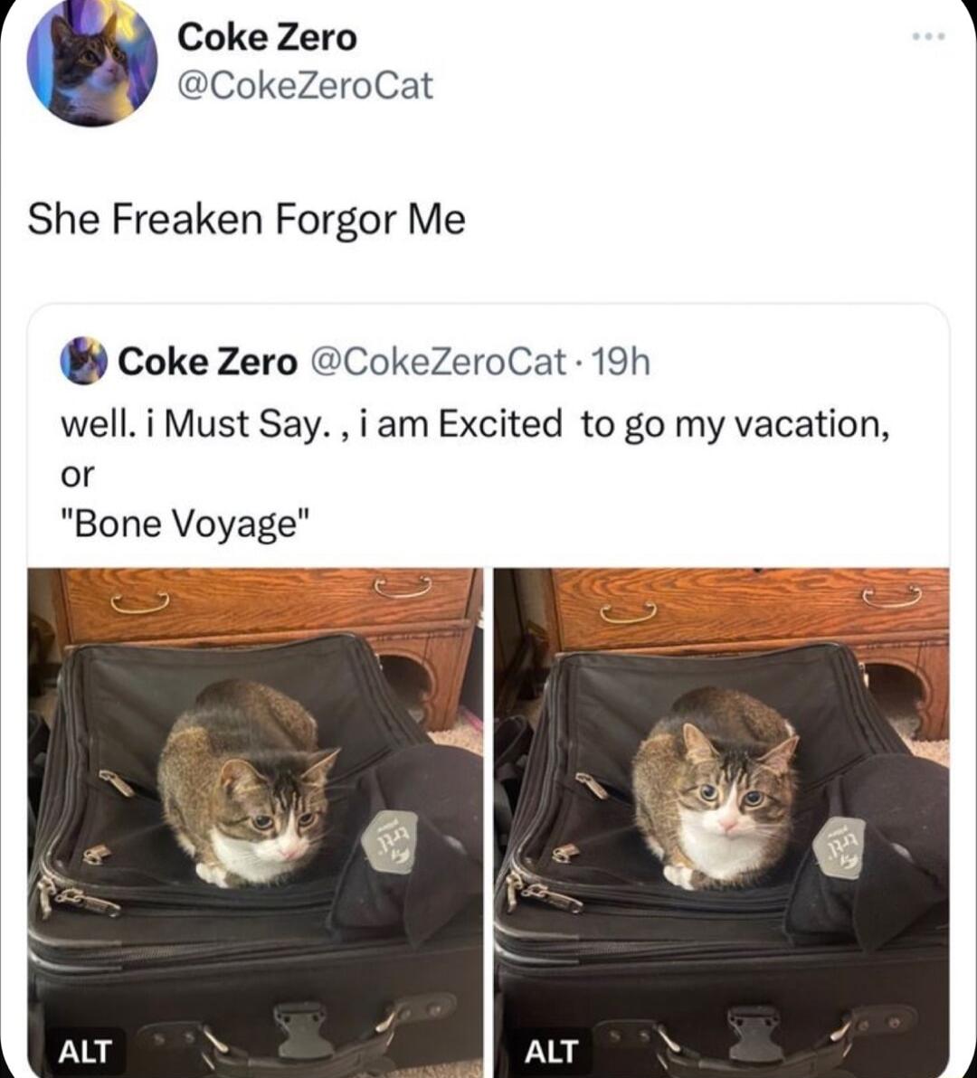 Coke Zero CokeZeroCat She Freaken Forgor Me Coke Zero CokeZeroCat 19h well i Must Say i am Excited to go my vacation or Bone Voyage