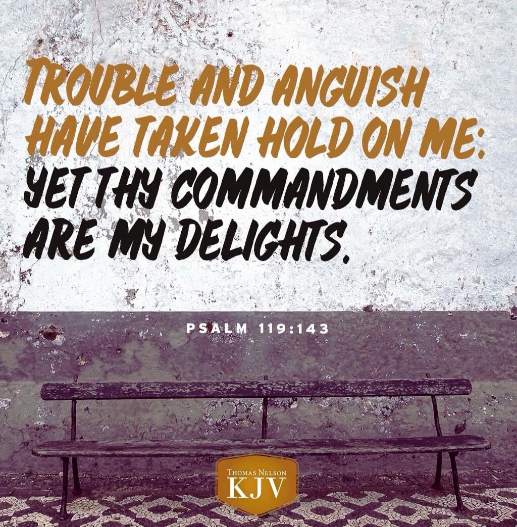 Trouble and anguish have taken hold on me: yet thy commandments are my delights. Psalm 119:143