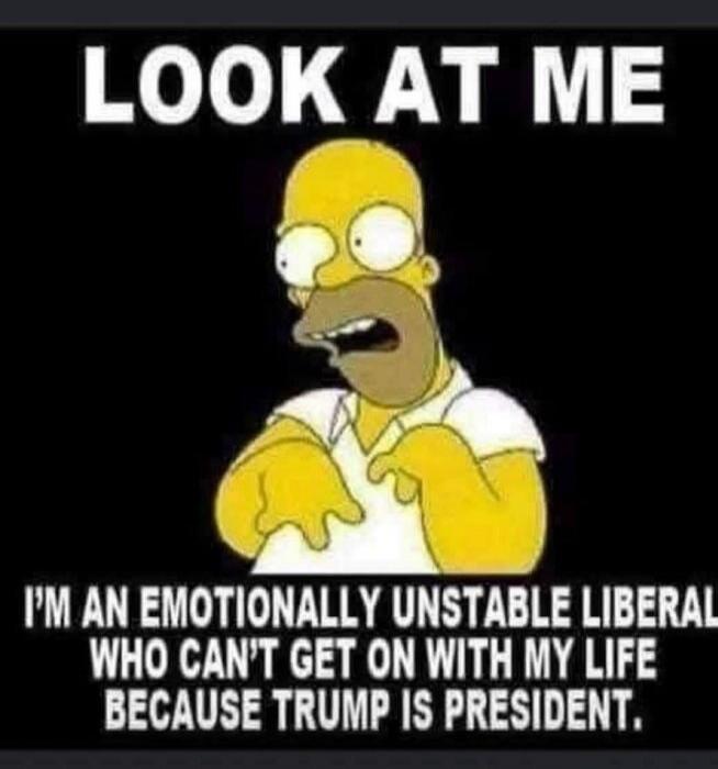 LOOK AT ME I'M AN EMOTIONALLY UNSTABLE LIBERAL WHO CAN'T GET ON WITH MY LIFE BECAUSE TRUMP IS PRESIDENT.