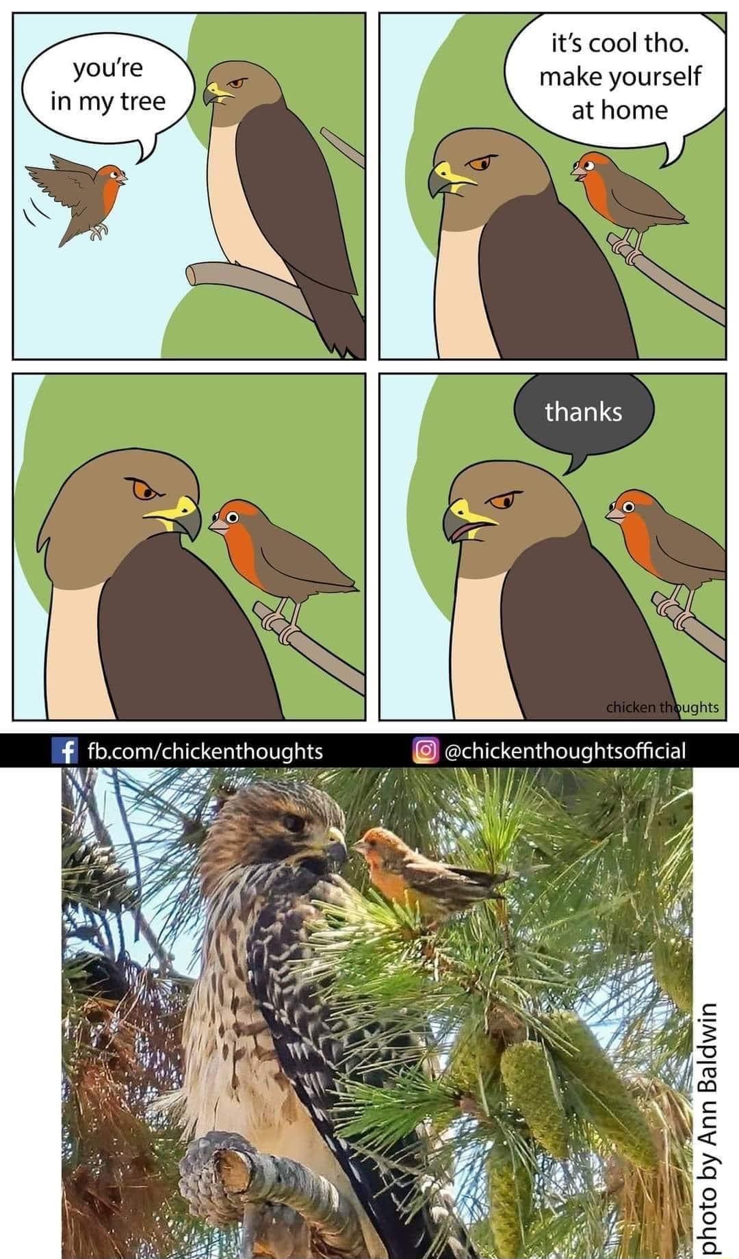 its cool tho youre make yourself inmytree 8 at home 2 5 o 8 c 3 2 5 2 NS