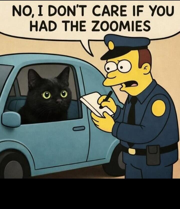 NO, I DON'T CARE IF YOU HAD THE ZOOMIES