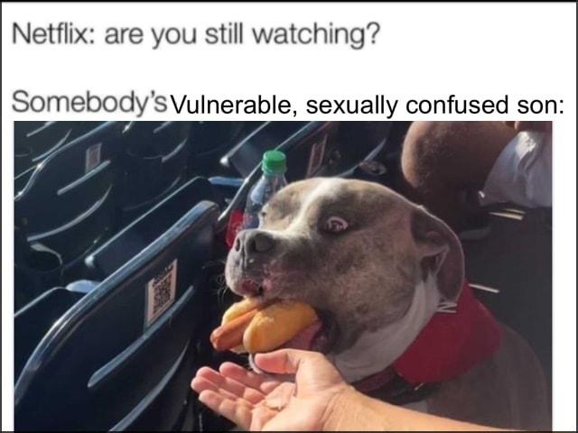 Netflix are you still watching SomebodysVulnerable sexually confused son