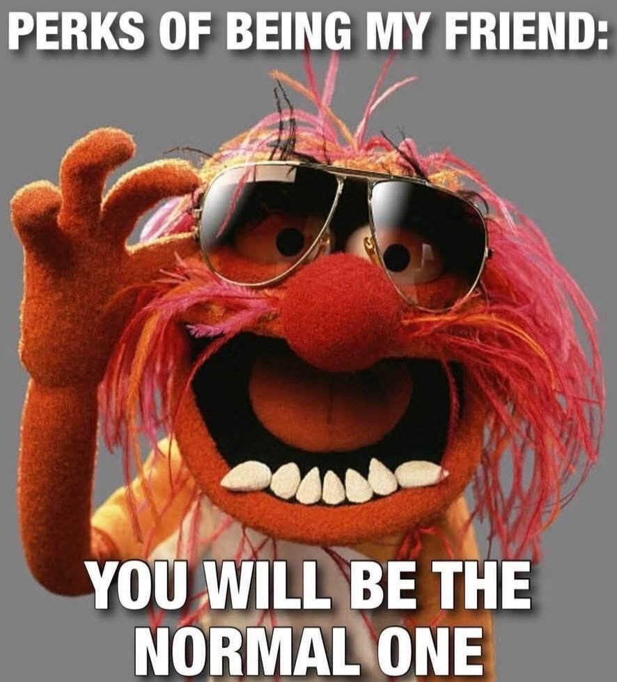 PERKS OF BEING MY FRIEND: YOU WILL BE THE NORMAL ONE