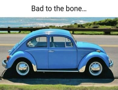 Bad to the bone...