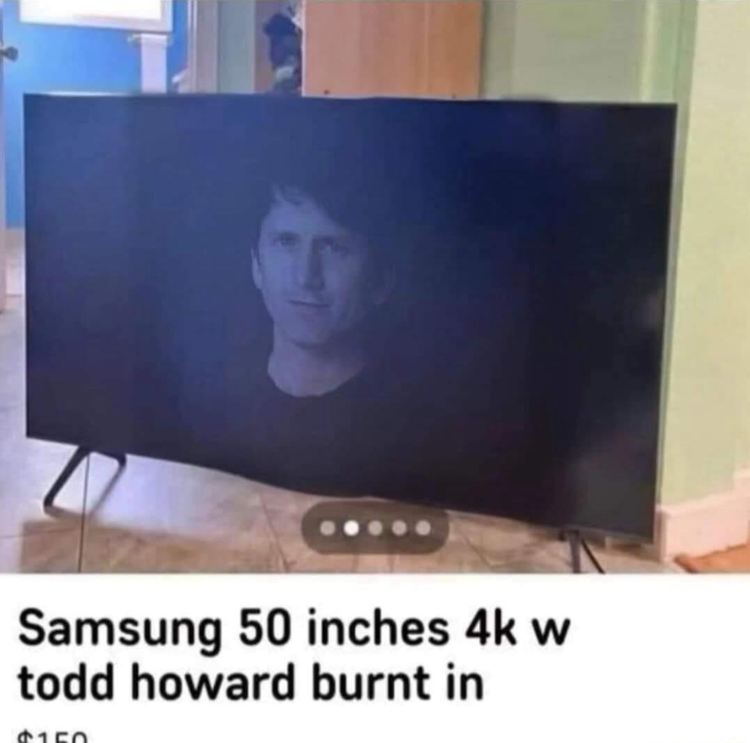 Samsung 50 inches 4k w todd howard burnt in