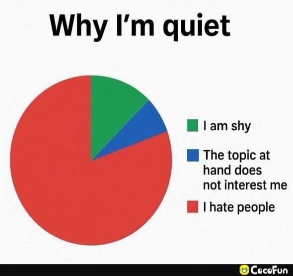 Why I'm quiet
I am shy
The topic at hand does not interest me
I hate people