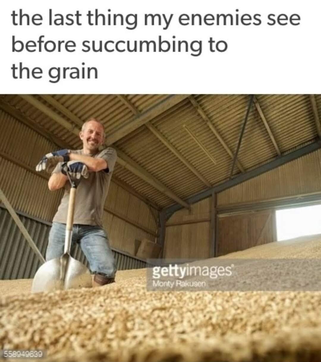 the last thing my enemies see before succumbing to the grain