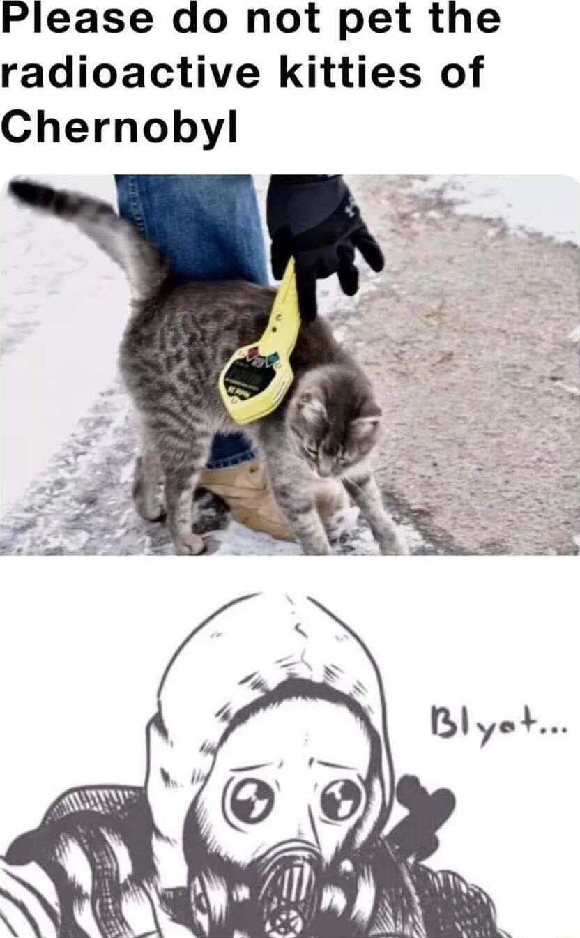 Please do not pet the radioactive kitties of Chernobyl