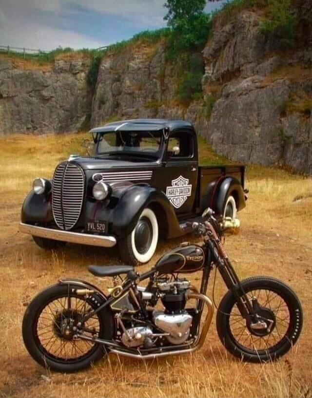 Harley‑Davidson emblem on the truck door. License plate reads YML 520. Session ID: 1020567.