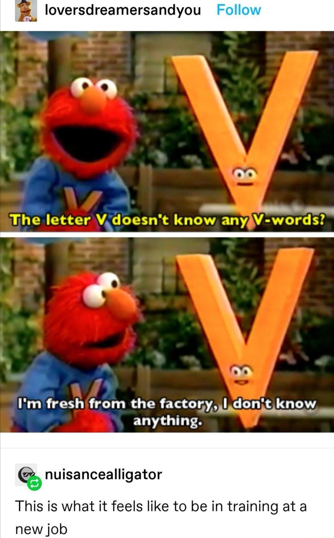 loversdreamersandyou oo bp e 4 20 2 freshifrom the factonyl donit know T anything v nuisancealligator This is what it feels like to be in training at a new job