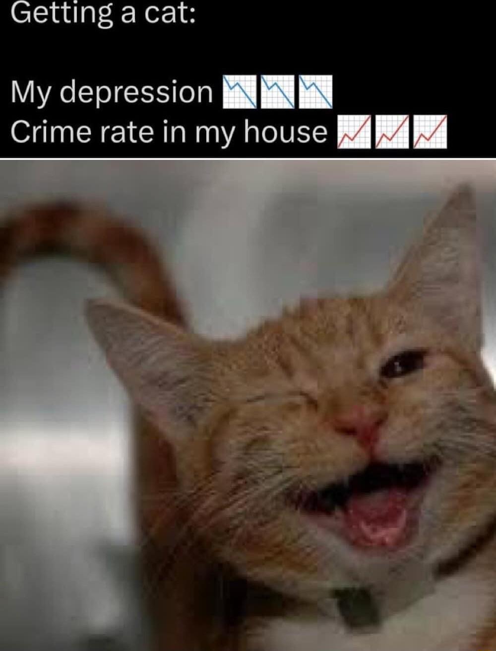 Sladlgf R Ner 184 My depression I Crime rate in my house l Il 4